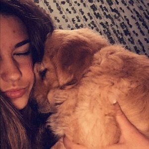 Meet your Posher, Holly